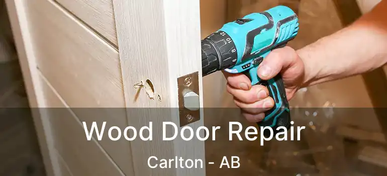  Wood Door Repair Carlton - AB