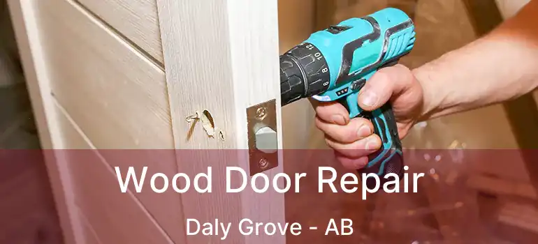  Wood Door Repair Daly Grove - AB