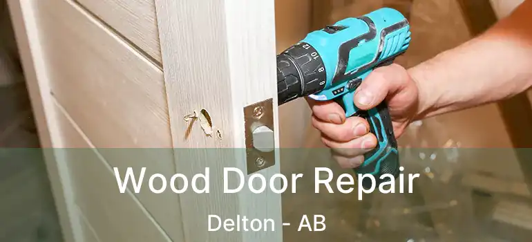  Wood Door Repair Delton - AB