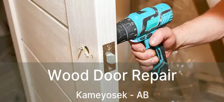  Wood Door Repair Kameyosek - AB