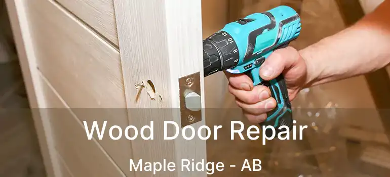  Wood Door Repair Maple Ridge - AB