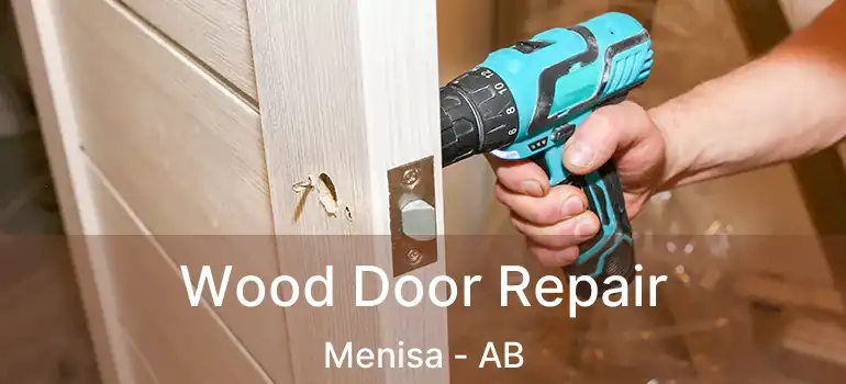  Wood Door Repair Menisa - AB